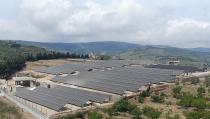 البلد اليوم : ازديادالمتقدمين لقروض  الطاقة المتجددة في طرطوس